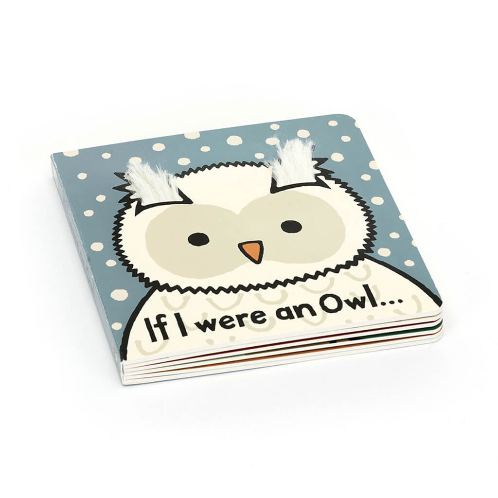 If I Were an Owl Book