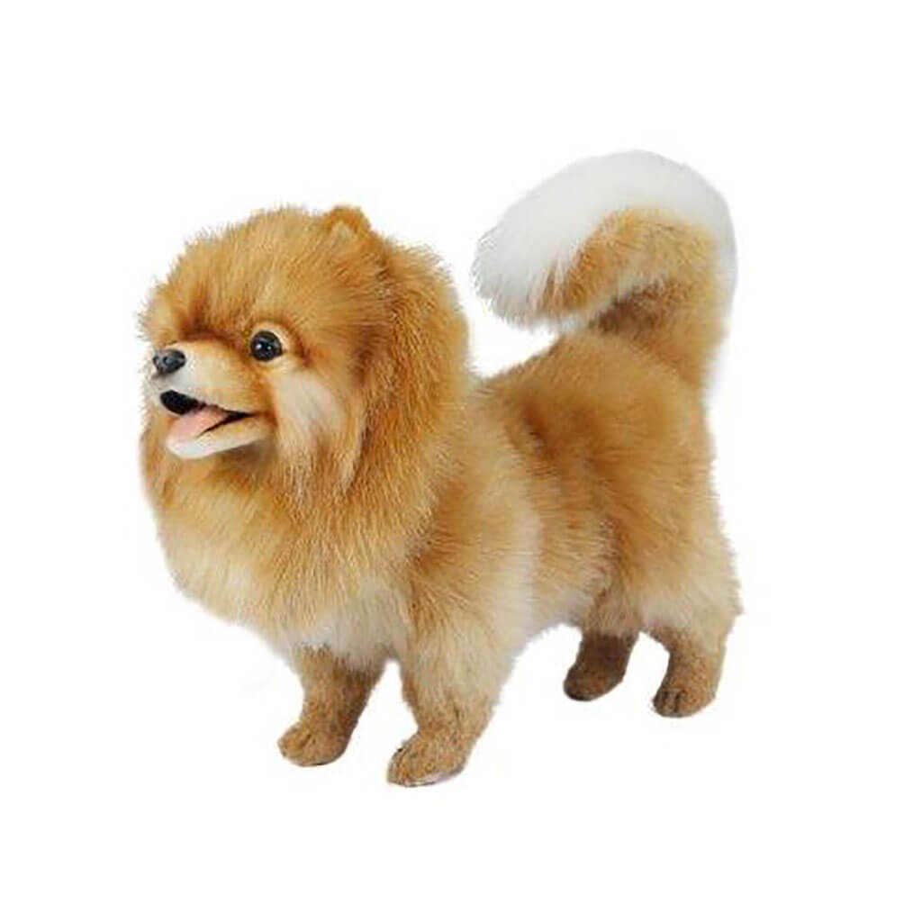 Realistic Plush Animal Pomeranian Dog