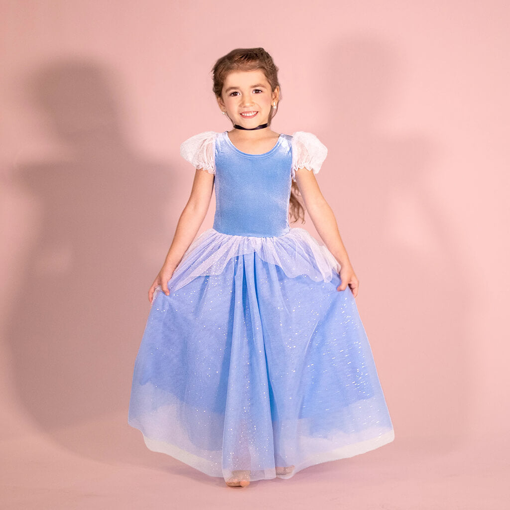 Joy Costumes Princess Cinderella Dress