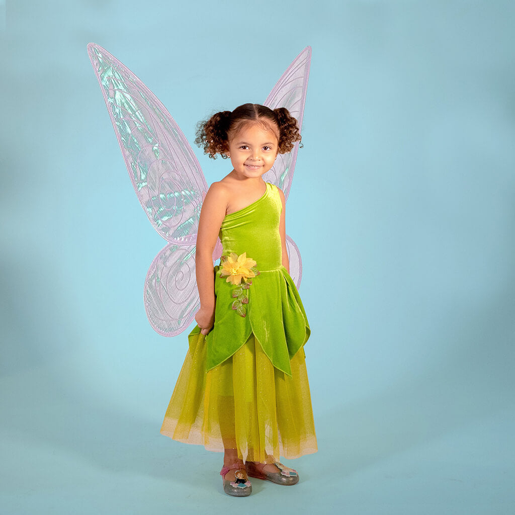 Joy Costumes The Frog Princess/Tinker Fairy Dress