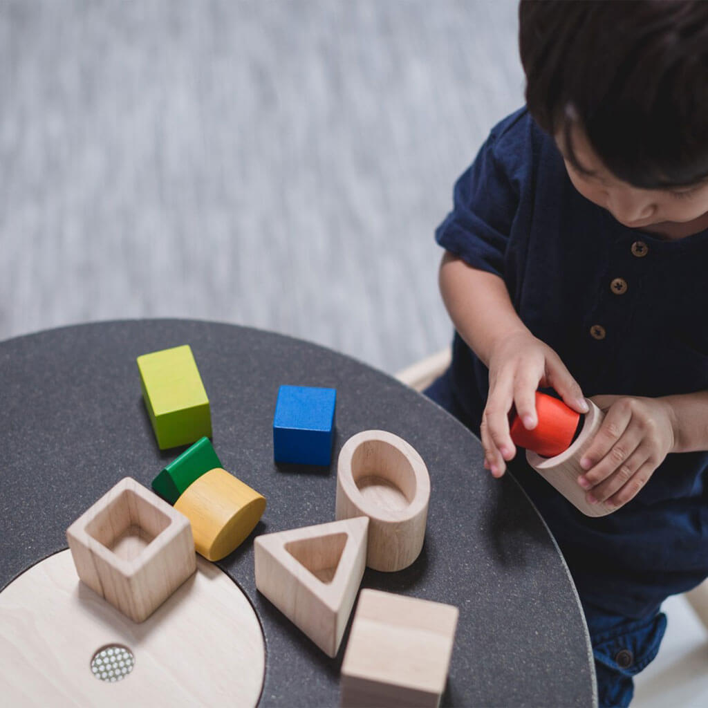 PlanToys Geo Matching Blocks