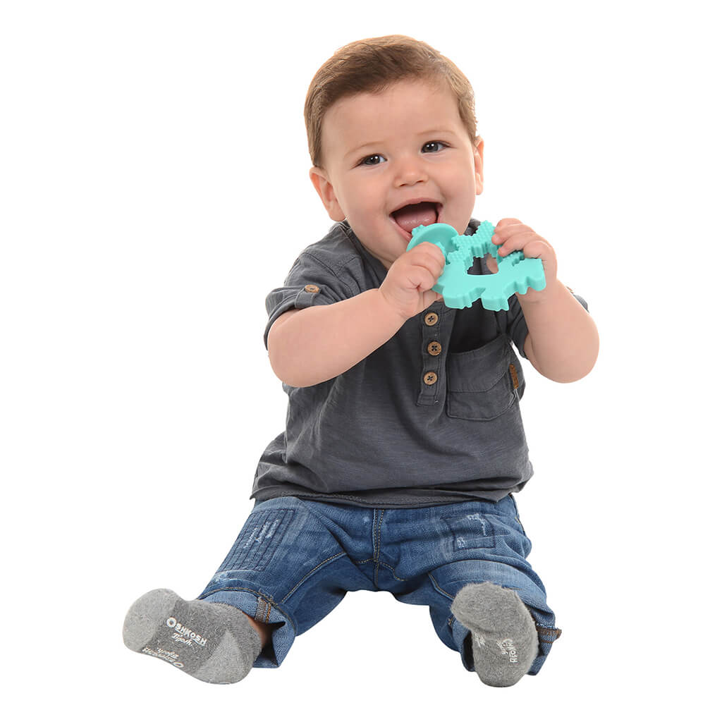 Chewpals Teether Dinosaur