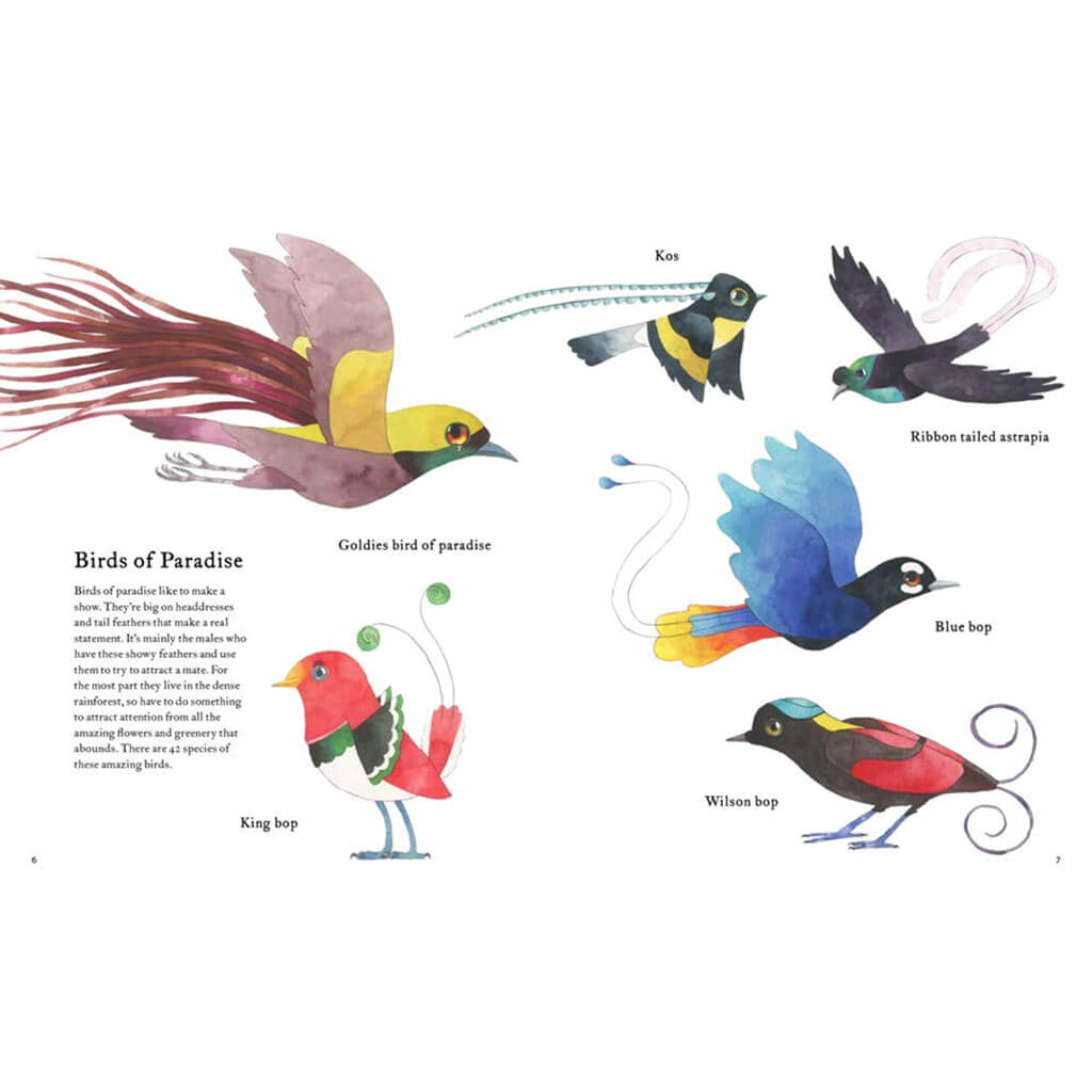 The Atlas of Amazing Birds Book