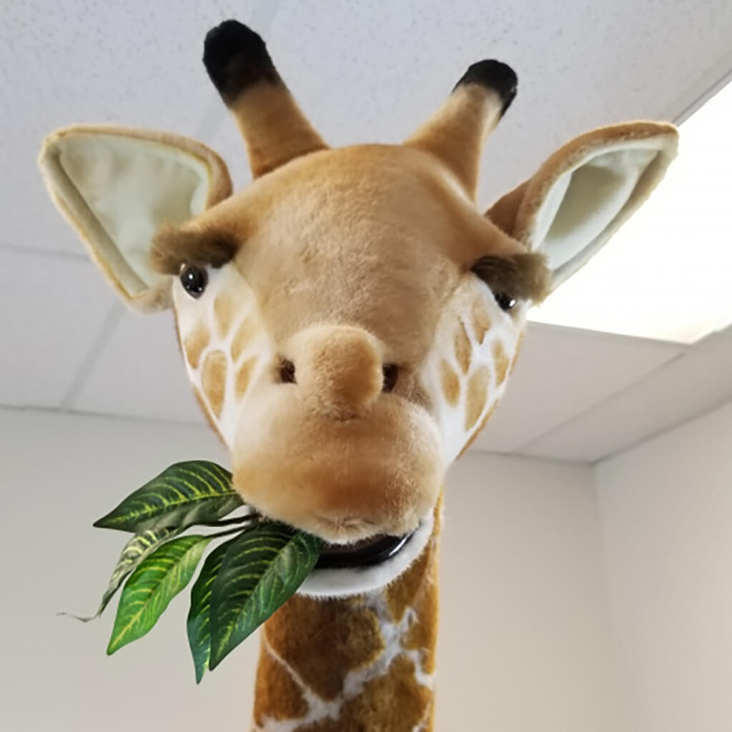 Realistic Plush Animal Giraffe X Large Ride On