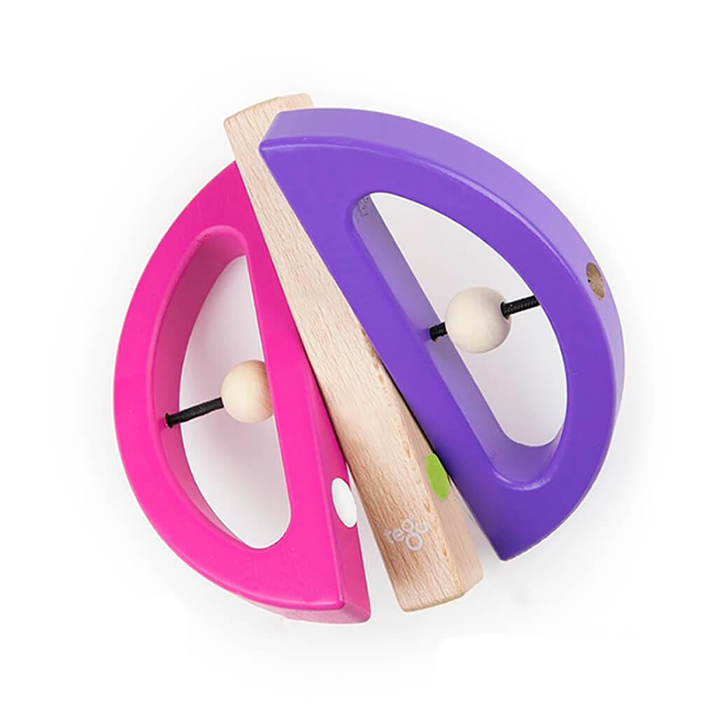 Magnetic Wooden Swivel Bug Pink and Purple