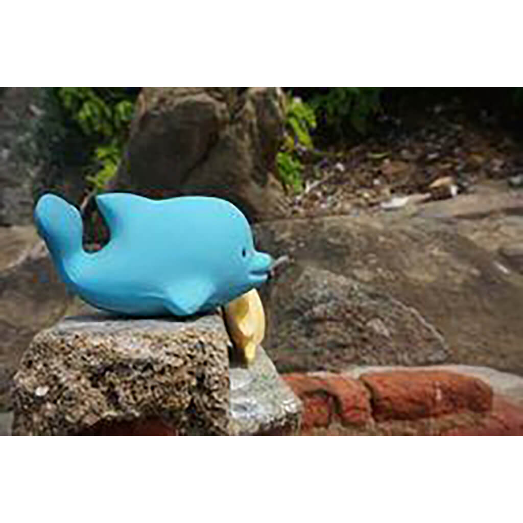 Dolphin Natural Rubber Rattle