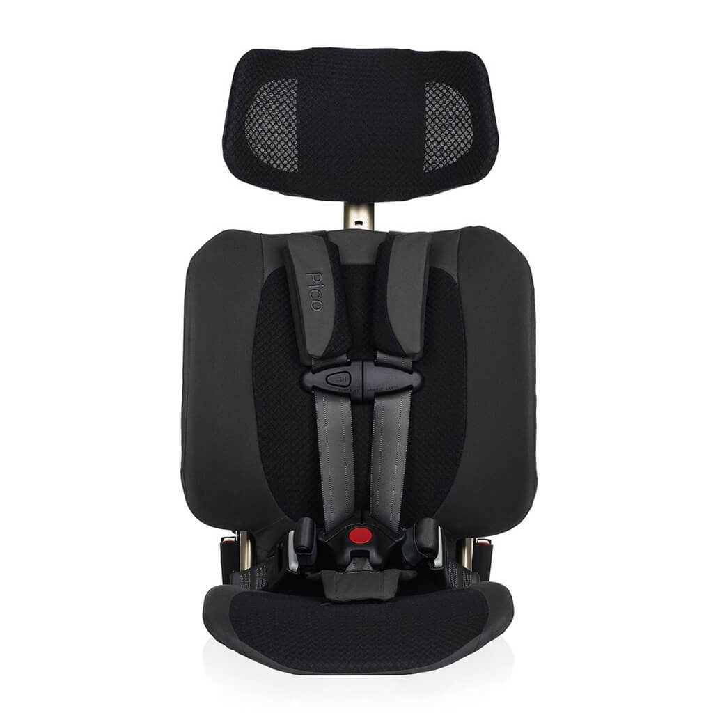 WAYB Pico Portable Car Seat Earth