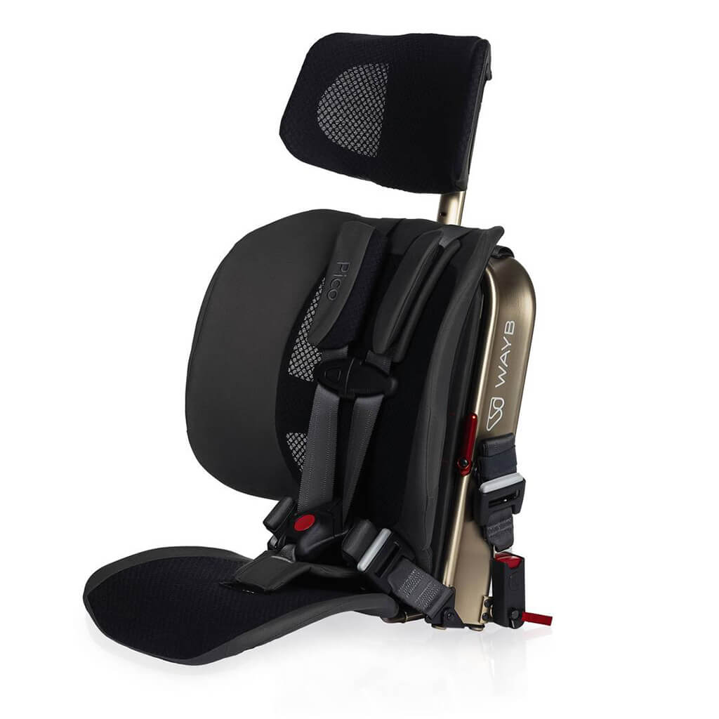 WAYB Pico Portable Car Seat Earth