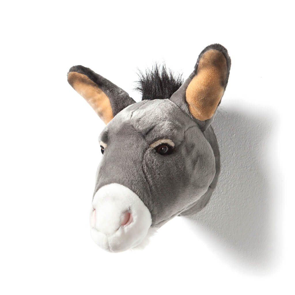 Donkey