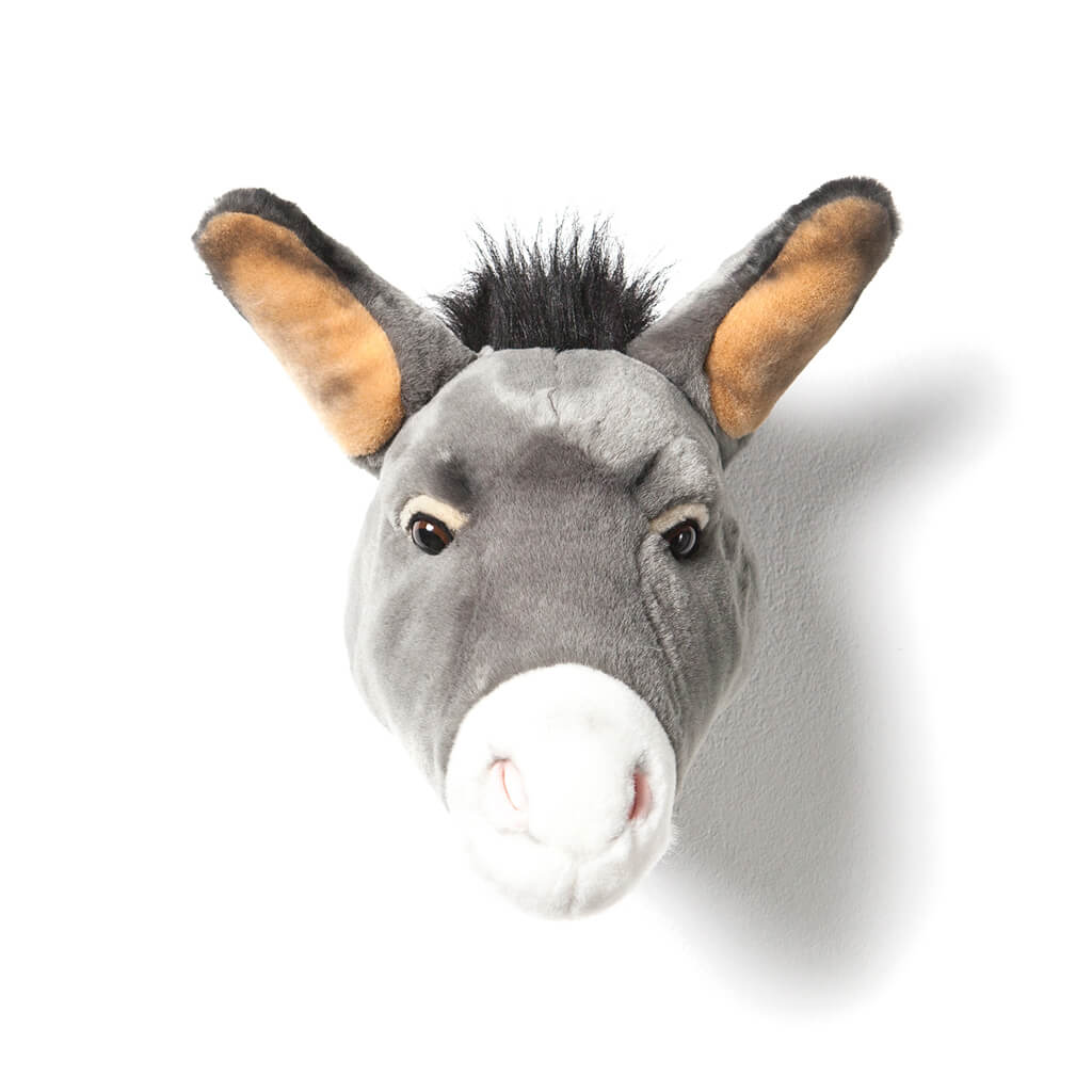 Donkey