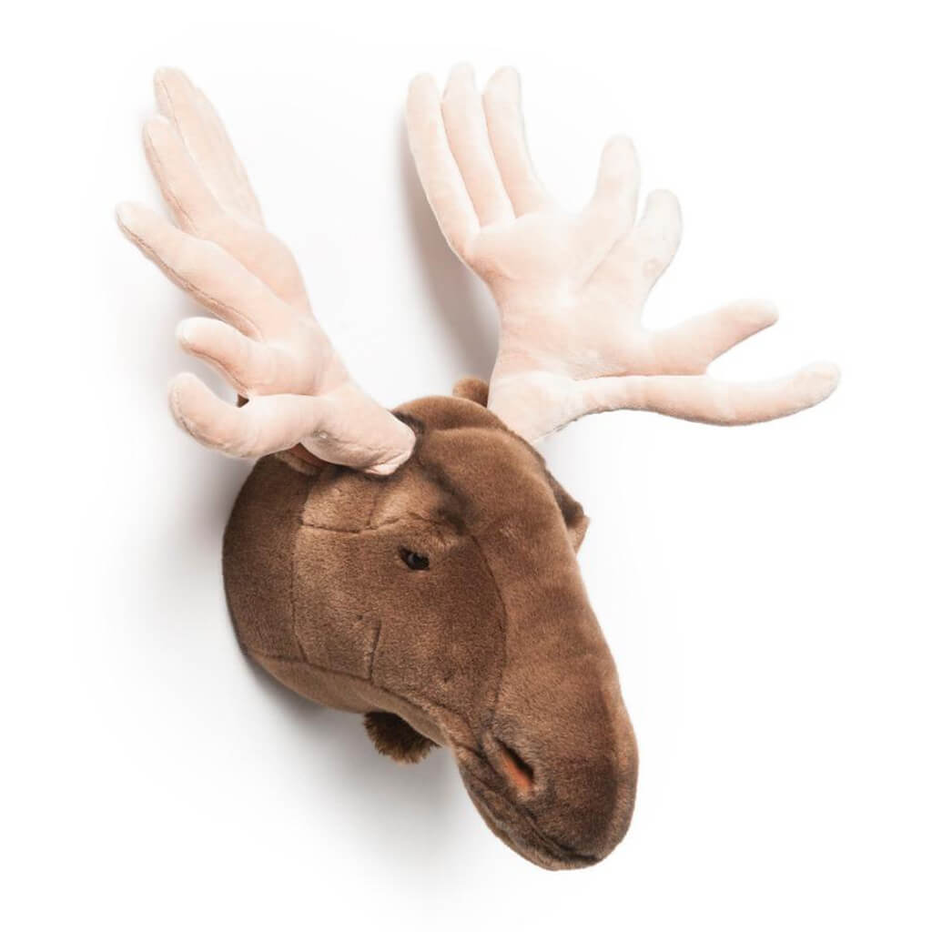 Brown Moose