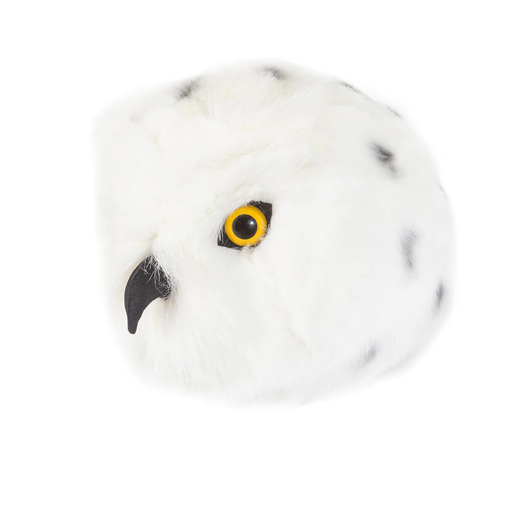 Snowy Owl Chloe